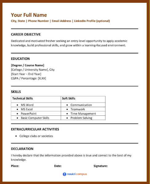 No Experience resume