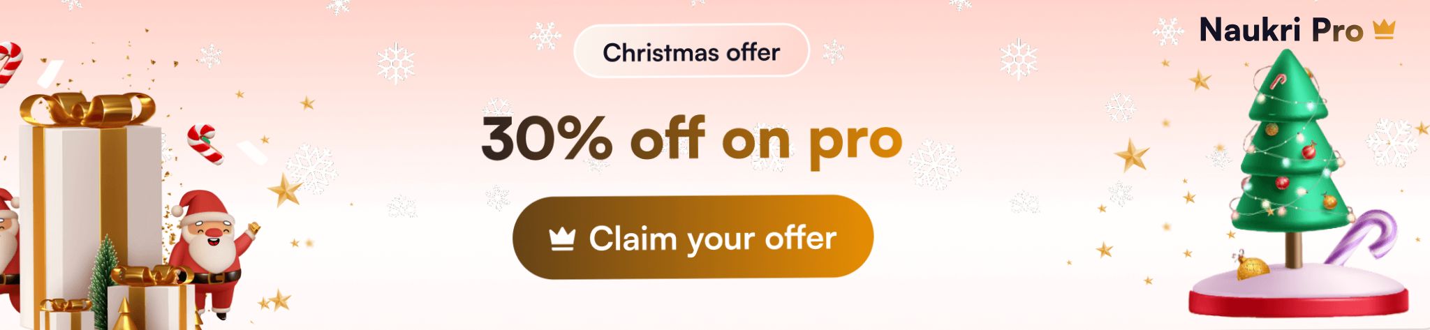 Naukri Pro 360 30% Off