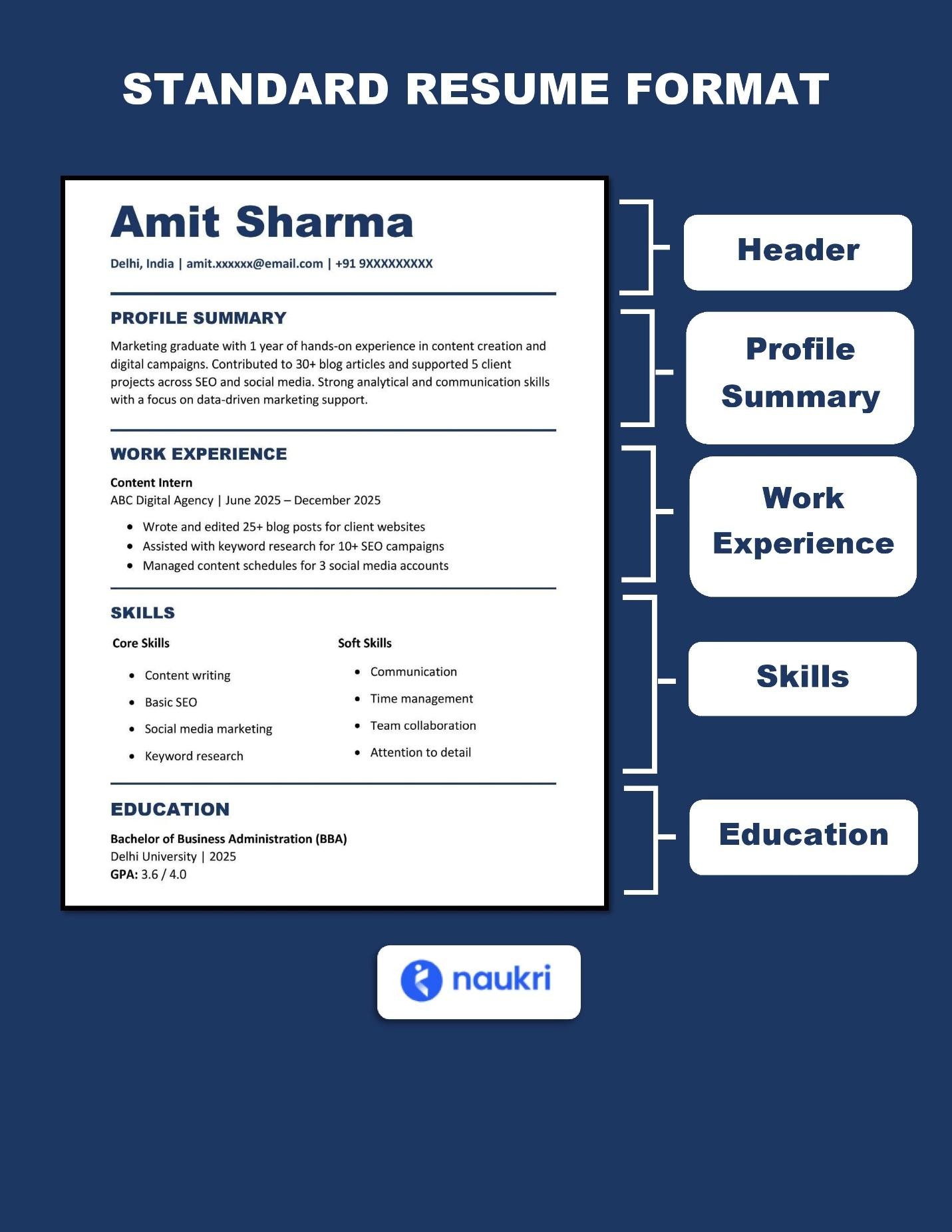 Sample Standard Resume Format