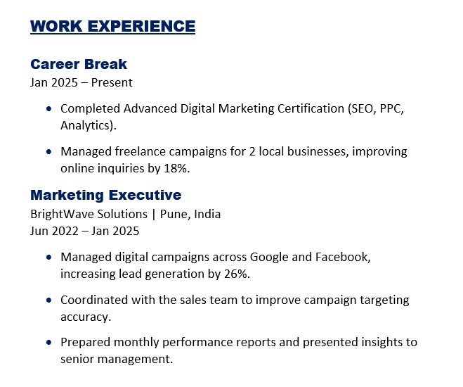 Work Experience Example for Employment gap