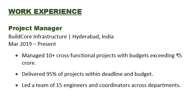 Work Experience Example for Project Manager