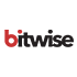 Bitwise Solutions logo