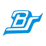 Bharat Seats Limited (NDR Auto Group) logo