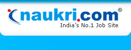 naukri.com
